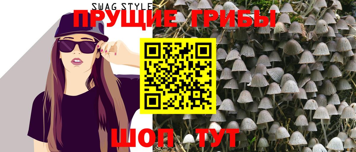 Псилоцибиновые грибы GOLDEN TEACHER Когалым