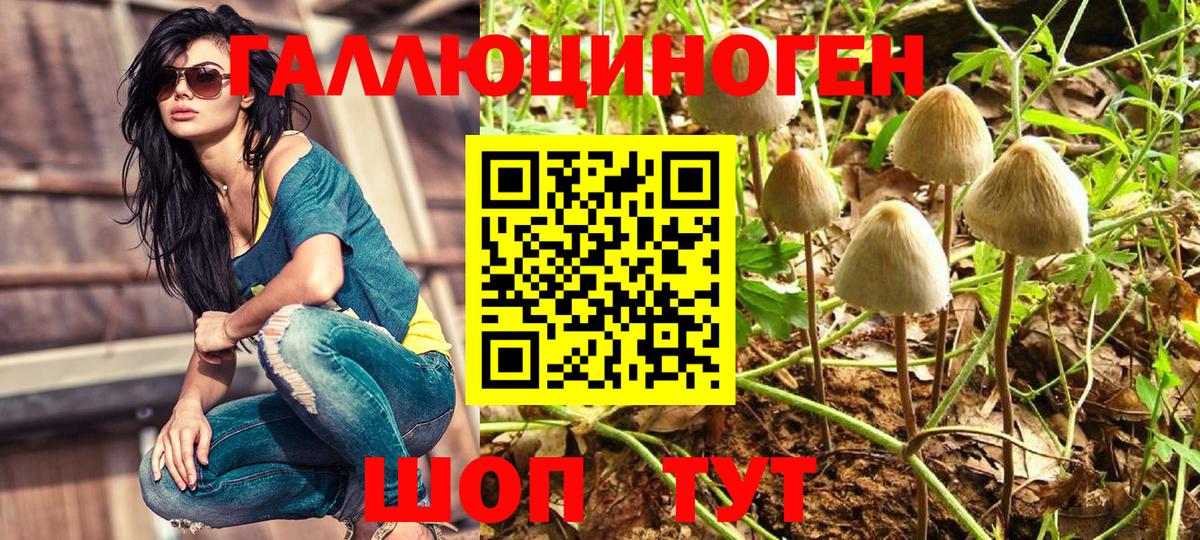Когалым  Галлюциногенные грибы Psilocybine cubensis  Вход с VPN 